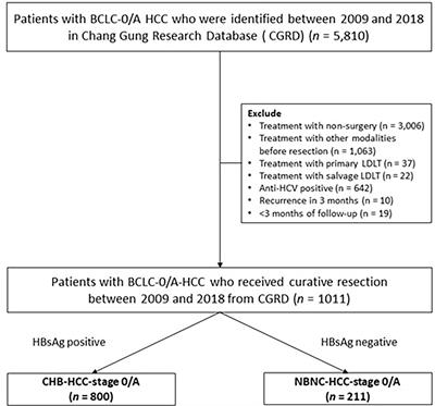 Metabolic Risks Are Increasing in Non-B Non-C Early-Stage Hepatocellular Carcinoma: A 10-Year Follow-Up Study